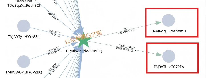 资金盘|诈骗园区伪冒国内“斯哆伊”,拉团队搞欺诈,请保护好钱袋子……插图11 资金盘|诈骗园区伪冒国内“斯哆伊”,拉团队搞欺诈,请保护好钱袋子……插图11