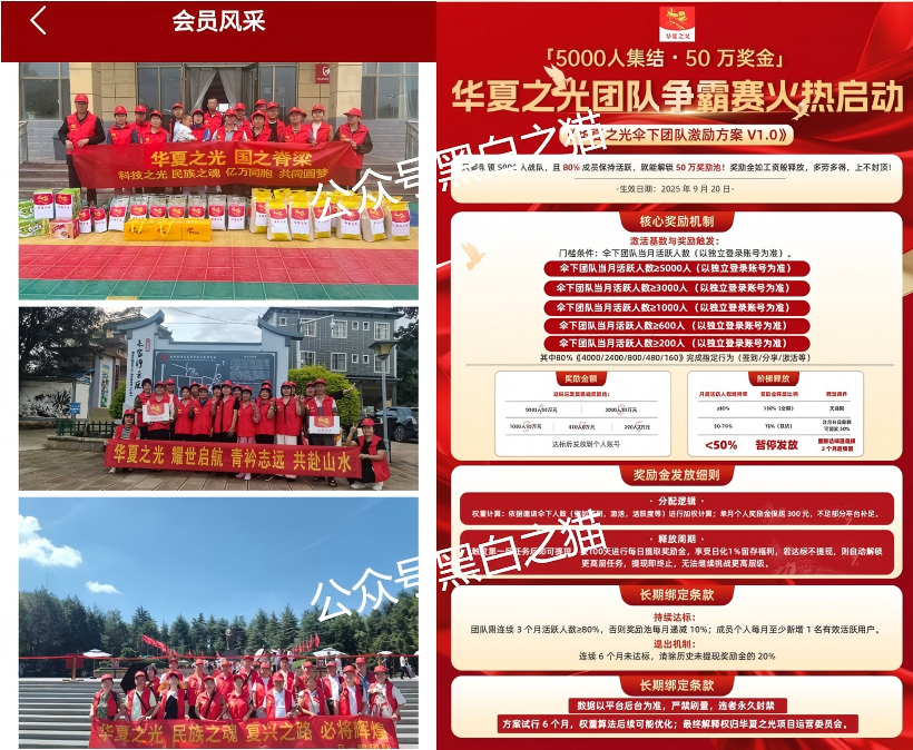 老年盘｜“华夏之光”项目投资被骗，追梦人还当了替罪羊，已踩到法律红线……插图7