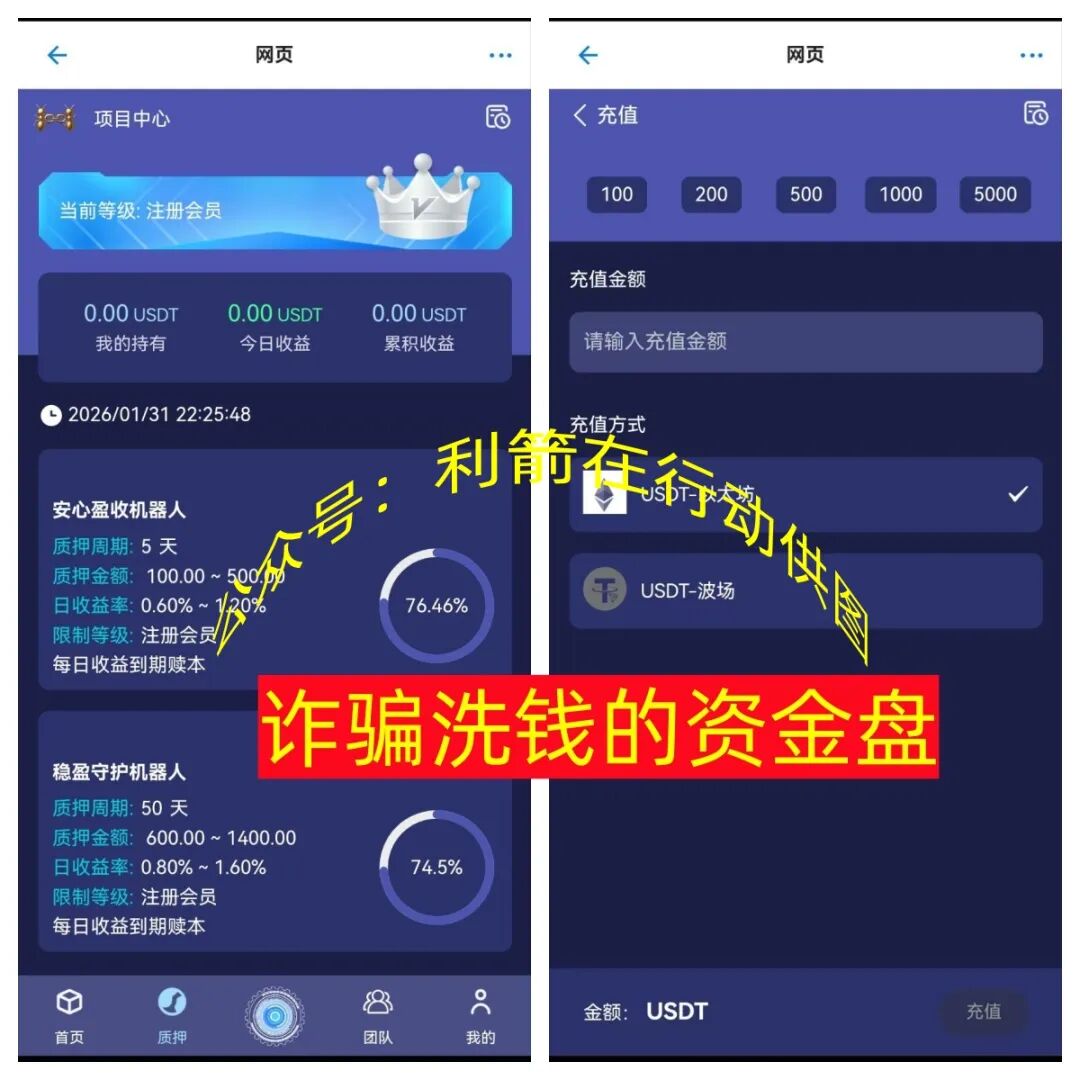 这13个项目是骗局，刚上线的，要跑路的，别被骗了！插图8
