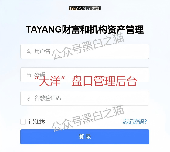 资金盘｜套牌“大洋”做非法项目，漏洞百出陷阱多，随时崩盘请远离……插图13