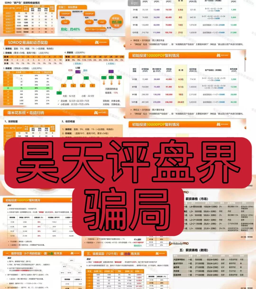 科普分析：13类资金盘项目风险识别指南插图3
