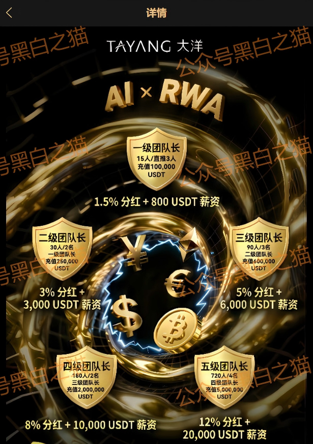 资金盘｜套牌“大洋”做非法项目，漏洞百出陷阱多，随时崩盘请远离……插图7