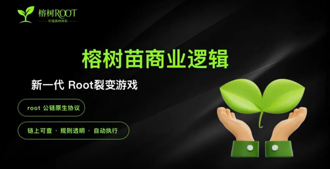 榕树ROOT（榕树苗）是资金盘骗局，拉人头涉嫌违法，看见远离插图1