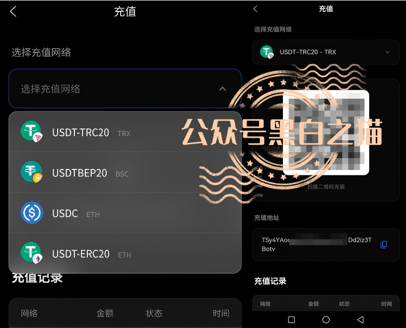 重磅预警！伪冒VAST.AI资金盘传销骗局曝光，千万别入坑插图9