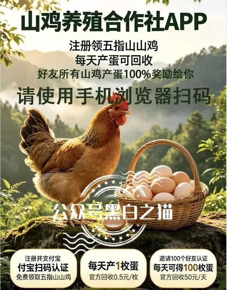 科普分析:如何识别换皮资金盘的典型风险特征插图2 科普分析:如何识别换皮资金盘的典型风险特征插图2