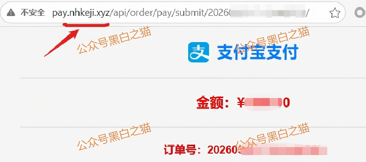快杀盘｜冒充“国投集团”设骗局，团队长为佣金拉人头，充值全是跑分户……插图10