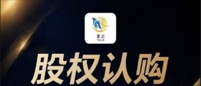 曝光伪冒“丰鼎资本”:以高收益诱惑,实则投资陷阱插图2 曝光伪冒“丰鼎资本”:以高收益诱惑,实则投资陷阱插图2