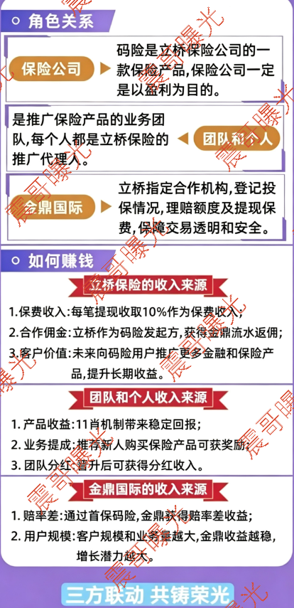 立桥码险/金鼎国际资金盘爆雷跑路，套牌立桥保险杀猪盘被查曝光插图1