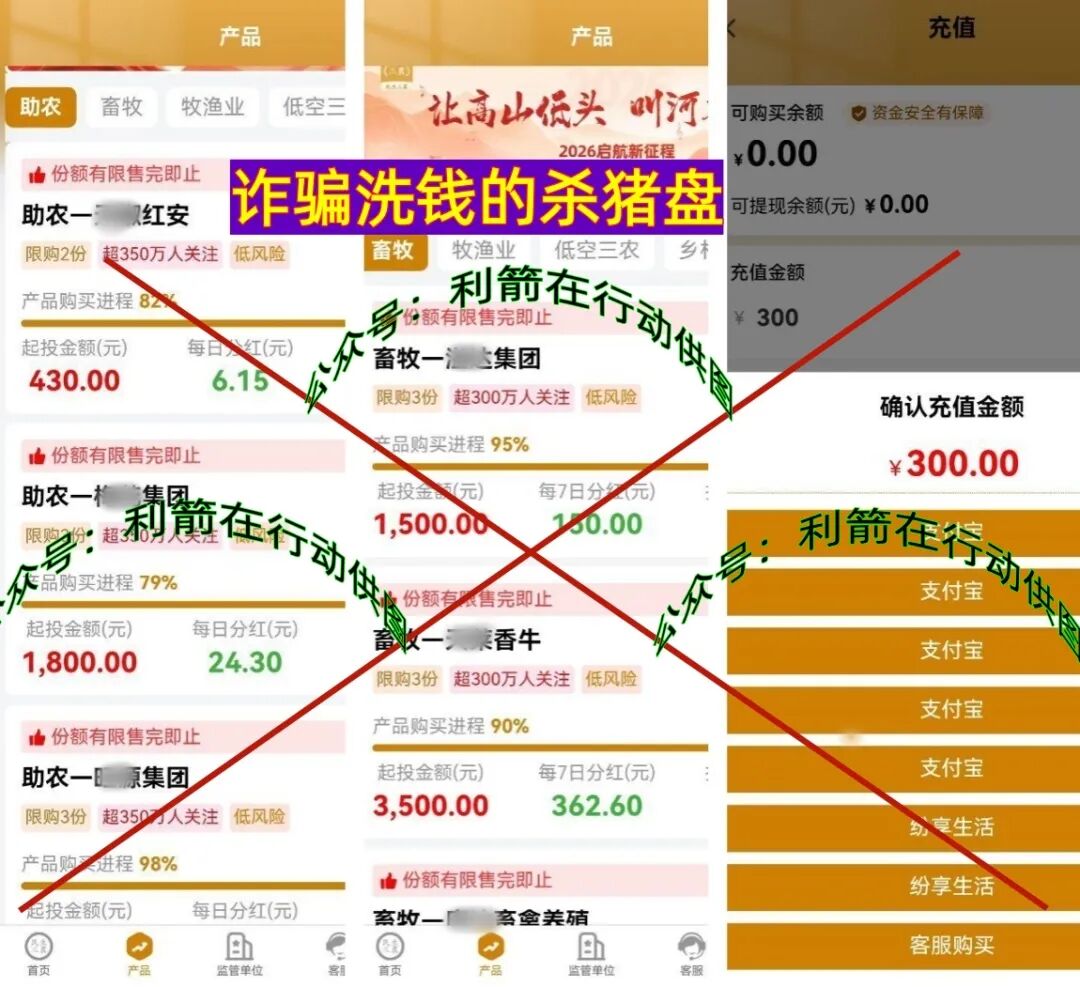 警惕！这16个项目都是骗局，别中了骗子的圈套！插图10