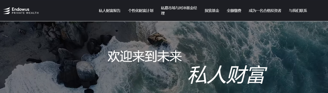 曝光伪冒的智安投(Endowus)资金盘,撕开伪装现原形,请投资人注意高风险。插图4 曝光伪冒的智安投(Endowus)资金盘,撕开伪装现原形,请投资人注意高风险。插图4