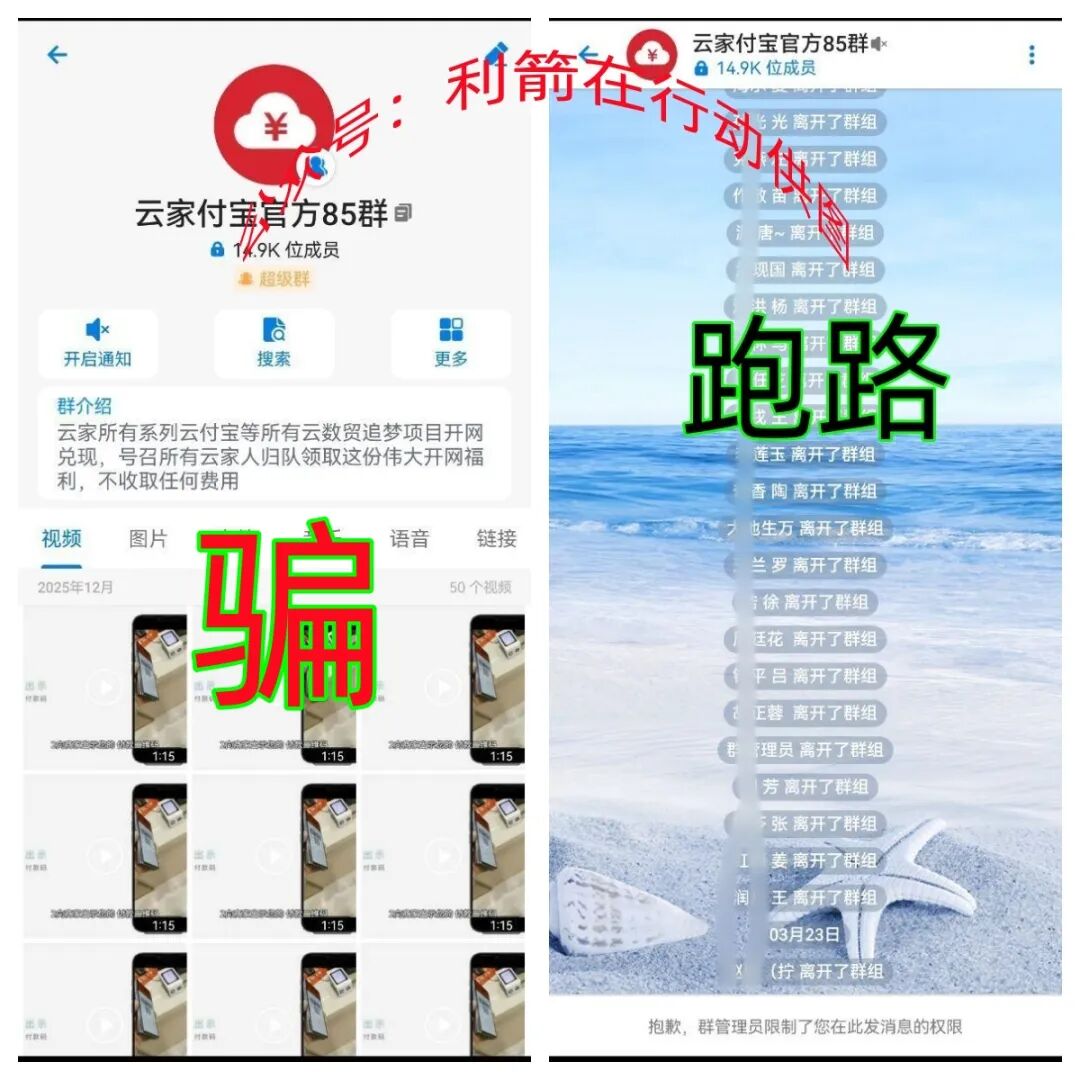 警惕!疯狂的“云数贸”,这16个项目有的跑路,有的正在诈骗!插图5 警惕!疯狂的“云数贸”,这16个项目有的跑路,有的正在诈骗!插图5