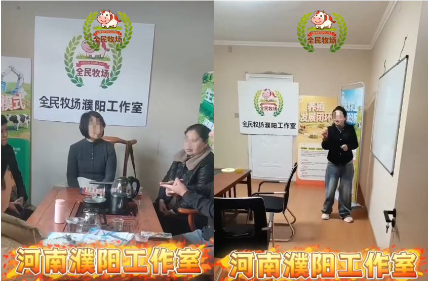 揭露“全民牧场”真实意图，皆为盘总的新项目……插图13