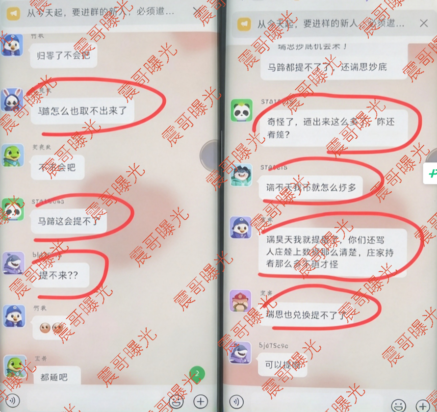 震哥曝光RISE假马蹄链诈骗项目，圈钱过亿，9万人被割插图1