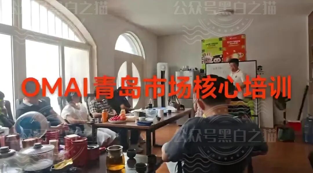 曝光安徽团伙为虎作伥，屡次推广资金盘洗劫投资人，“OMNI”虚拟币同样是杀猪盘。插图13