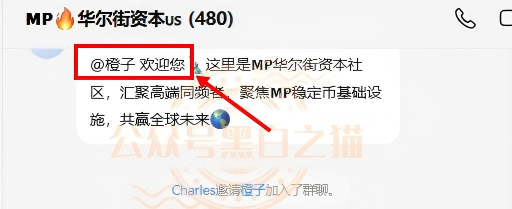 曝光安徽团伙为虎作伥，屡次推广资金盘洗劫投资人，“OMNI”虚拟币同样是杀猪盘。插图6