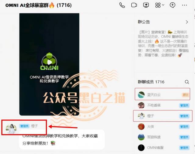 曝光安徽团伙为虎作伥，屡次推广资金盘洗劫投资人，“OMNI”虚拟币同样是杀猪盘。插图8
