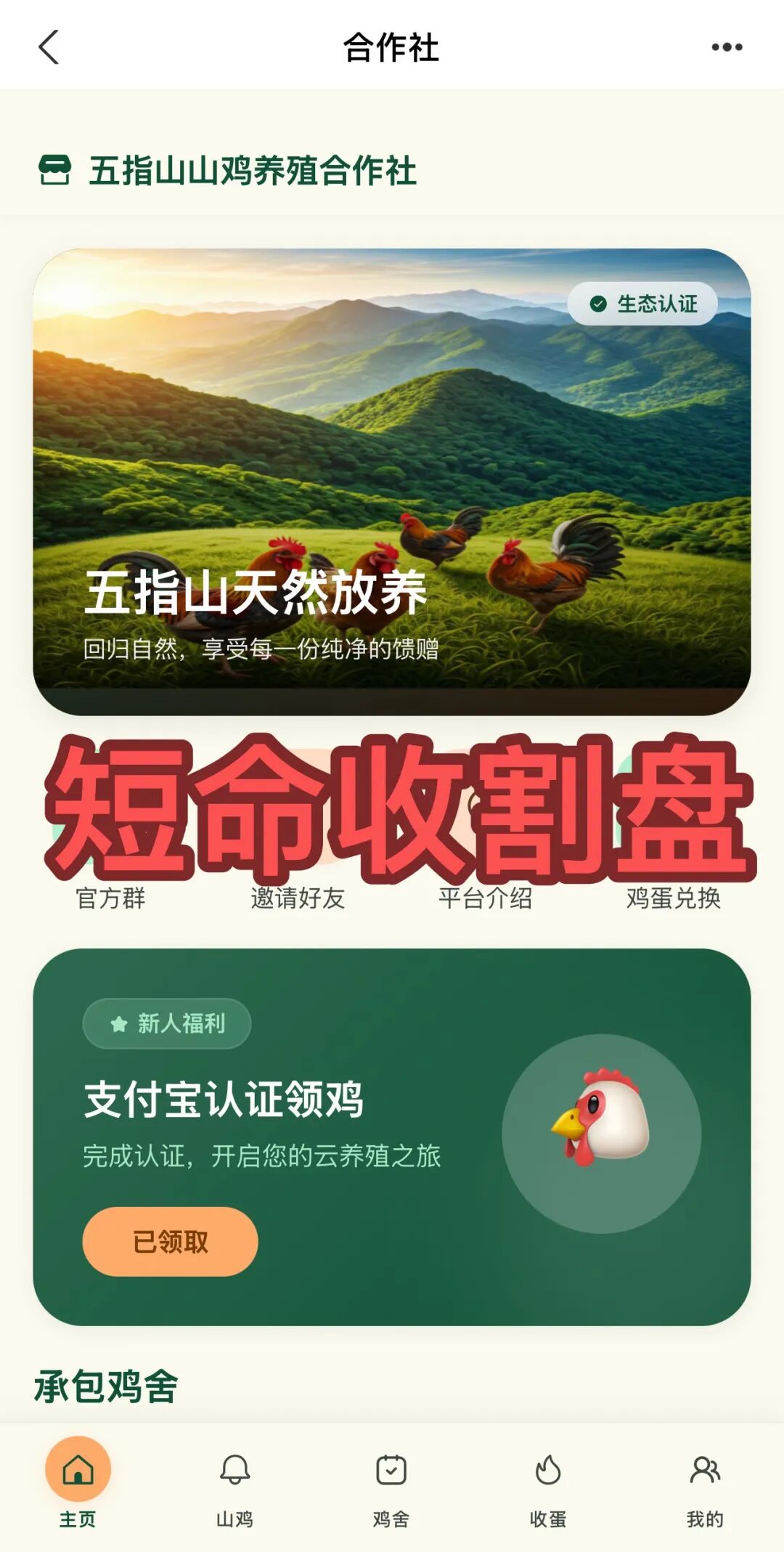 全崩了!这4个项目都是诈骗,短命盘马上收割,别再被骗了,赶紧跑吧!