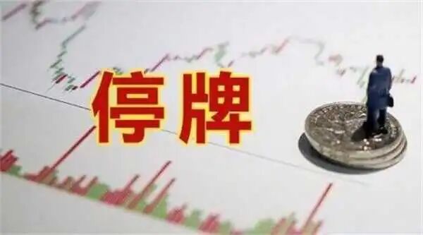 运鸿硅鑫集团李玉保涉嫌犯罪被调查,公司停牌!插图1 运鸿硅鑫集团李玉保涉嫌犯罪被调查,公司停牌!插图1