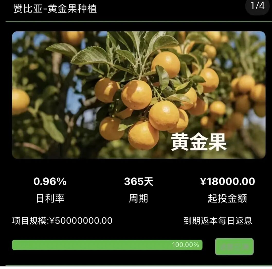 警惕!“华洋绿投”海外种果树,专骗想赚快钱的普通人! 赤裸裸资金盘骗局插图3 警惕!“华洋绿投”海外种果树,专骗想赚快钱的普通人! 赤裸裸资金盘骗局插图3