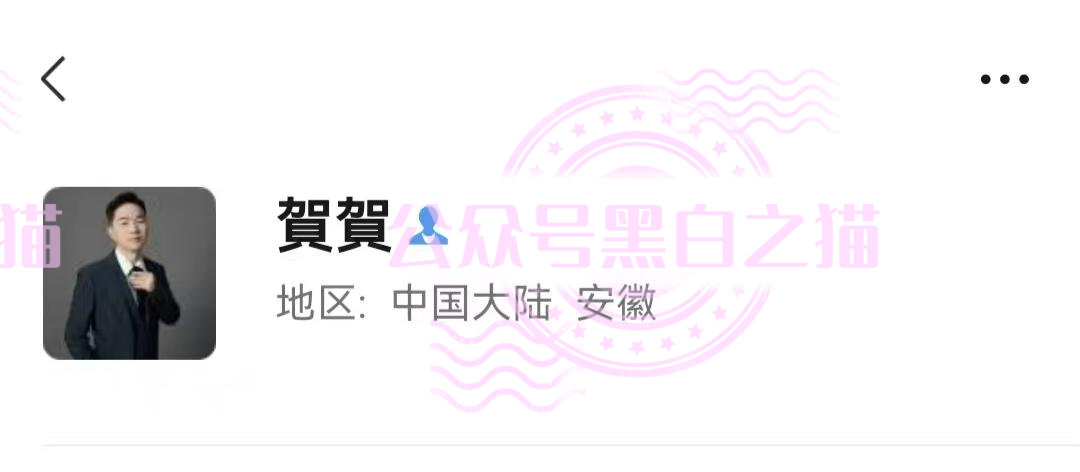 “MP蒙哥马利”(Montgomery)盘根寻底，项目核心人员曝光……插图12