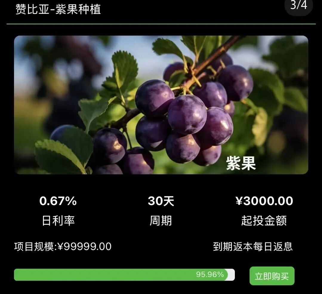 警惕!“华洋绿投”海外种果树,专骗想赚快钱的普通人! 赤裸裸资金盘骗局插图1 警惕!“华洋绿投”海外种果树,专骗想赚快钱的普通人! 赤裸裸资金盘骗局插图1