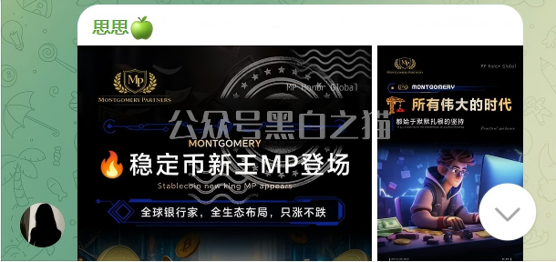 “MP蒙哥马利”人马转移“A9”项目，换成链上赌盘，投资人逃不过被割结局……插图5