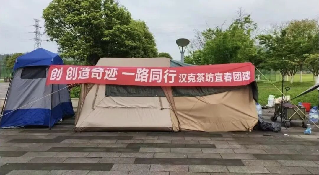 漢克时代：电商出海泡沫将破，最后的疯狂就是全线收割！！插图5
