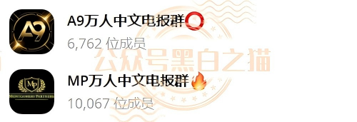 “MP蒙哥马利”人马转移“A9”项目，换成链上赌盘，投资人逃不过被割结局……
