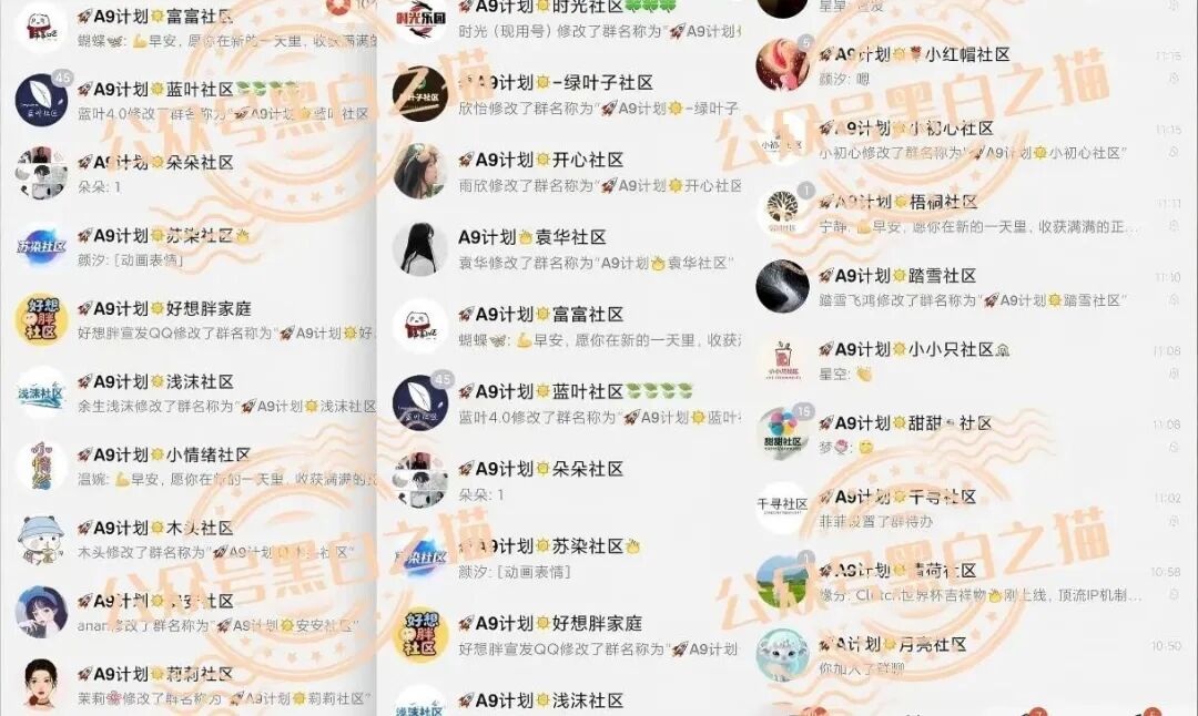 “MP蒙哥马利”人马转移“A9”项目，换成链上赌盘，投资人逃不过被割结局……插图4