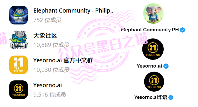 “YESORNO+大象社区”项目背景虚造，涉及私设赌场罪，团队长好自为之……