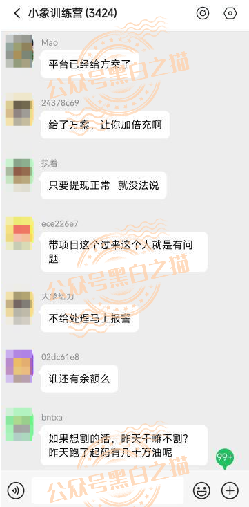 “YESORNO+大象社区”项目背景虚造，涉及私设赌场罪，团队长好自为之……插图16