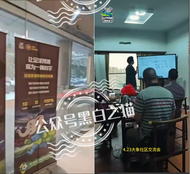 “YESORNO+大象社区”项目背景虚造，涉及私设赌场罪，团队长好自为之……插图6