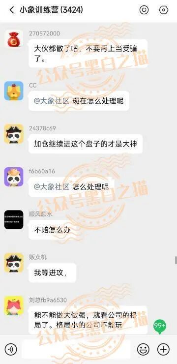 “YESORNO+大象社区”项目背景虚造，涉及私设赌场罪，团队长好自为之……插图17