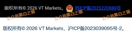 外汇盘｜境外“Vt Markets”遭仿冒，国内吸金不止，杀猪盘骗局又起……插图4