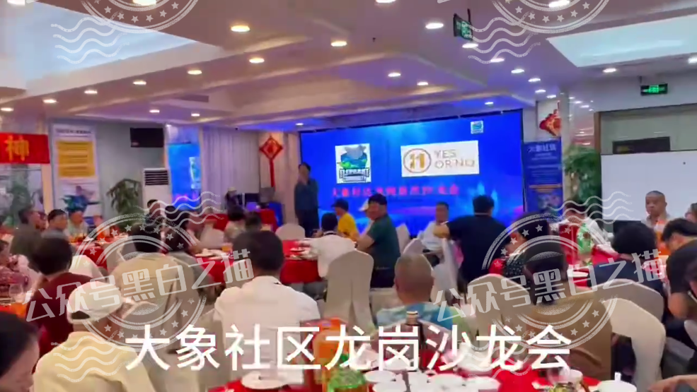 “YESORNO+大象社区”项目背景虚造，涉及私设赌场罪，团队长好自为之……插图9
