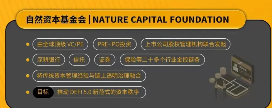 爆雷！环保币CPT、自然资本V5崩盘，有人亏损上百万！ARK方舟也即将崩盘！插图1
