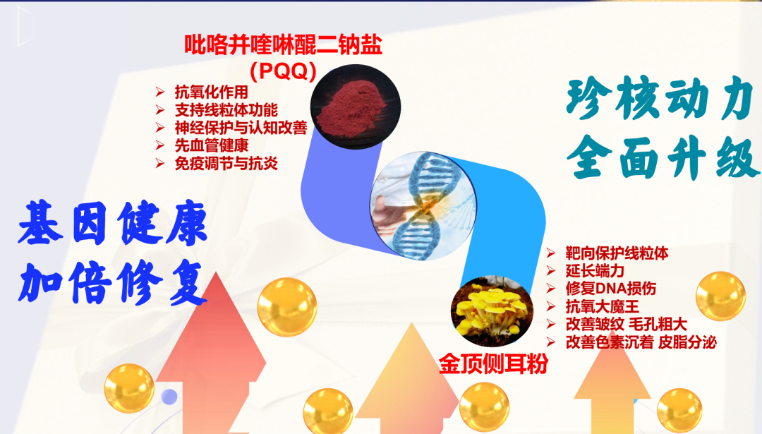 双迪小牛推广产品“茵诺.复春壹号复合多维特殊膳食片”涉嫌夸大宣传，一款食品能治疗多种疾病？插图7