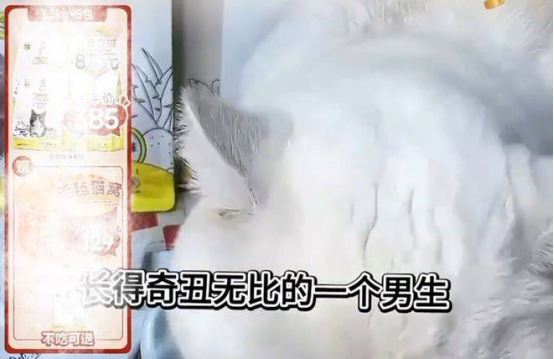 10亿级品牌“诚实一口”主播当众辱骂代言人，4个月内翻车2次插图
