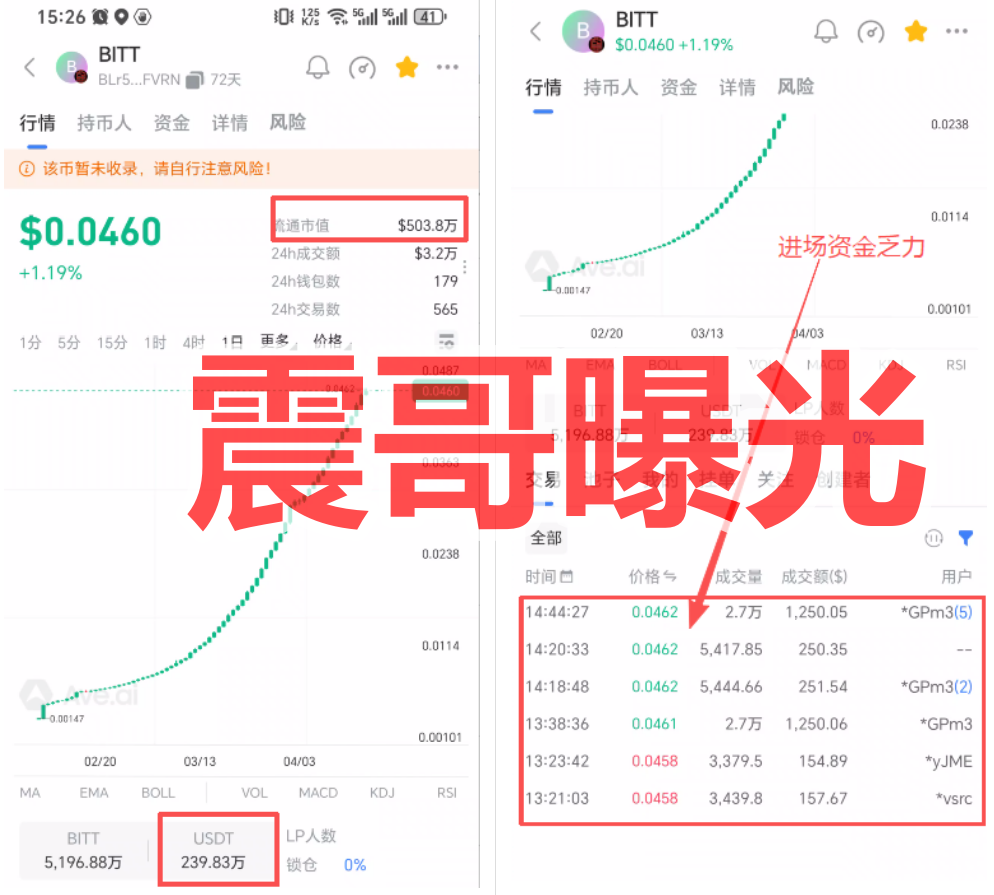 BIT Network（鹊桥）是套牌资金盘骗局，千万别参与，看见远离插图2