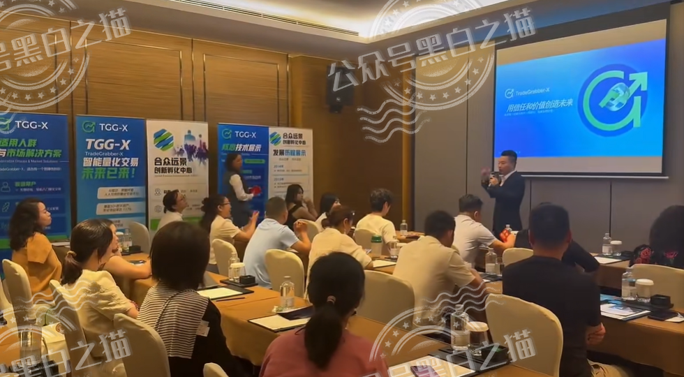 “合众远景TGG-X”量化盘，韭菜不停的被割，摇摇欲坠到现在……插图4